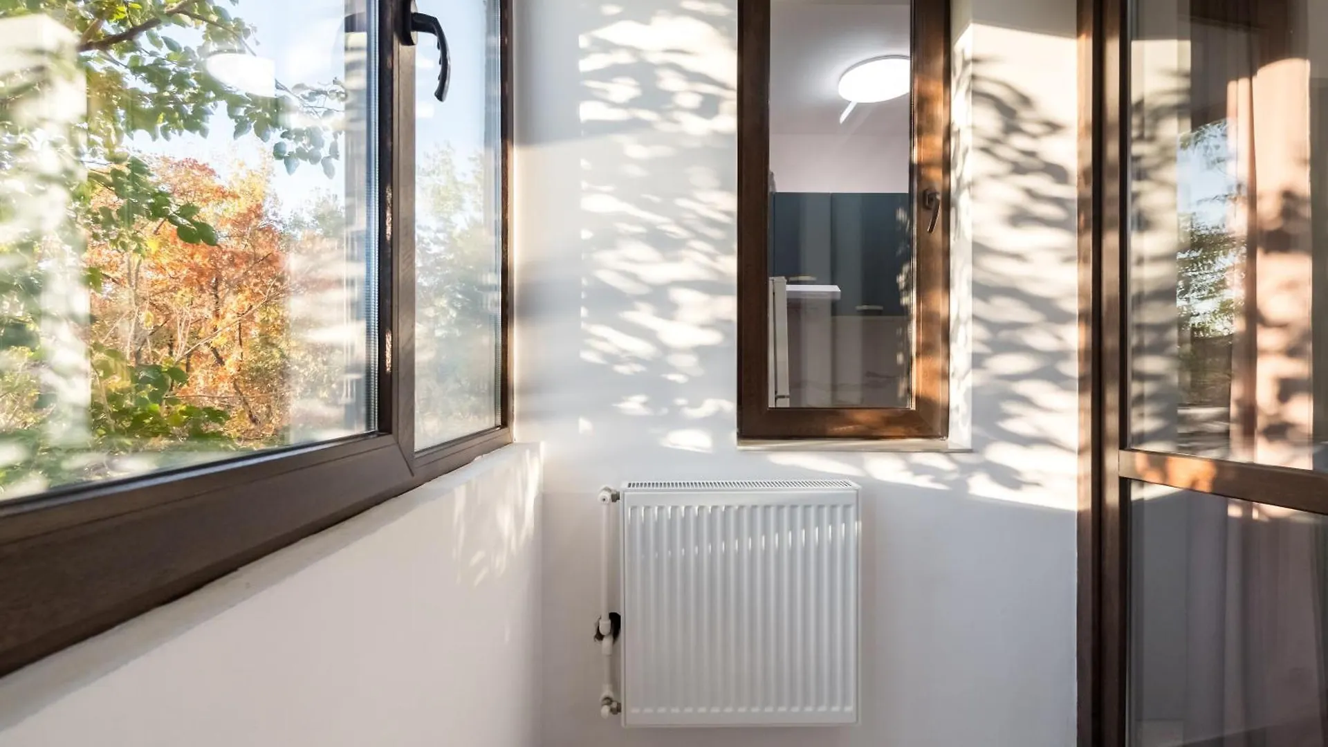 Apartment Oasis Concept Studio Bucharest